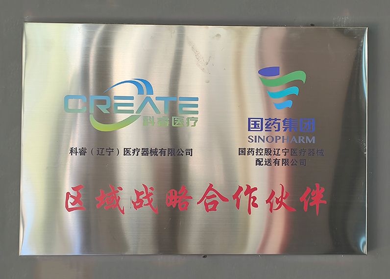 区域战略合作伙伴